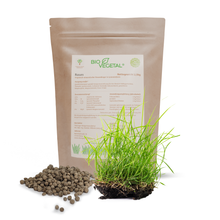 Lade das Bild in den Galerie-Viewer, BioVegetal organisch-mineralischer Rasendünger
